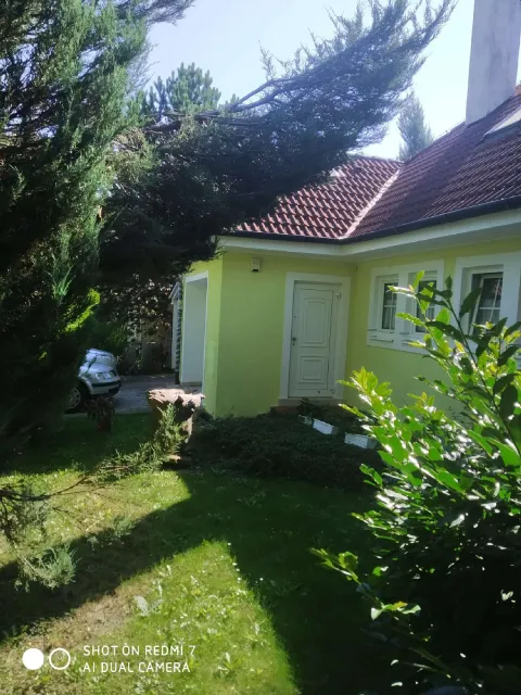 Světle zelená fasáda domu se zahradou